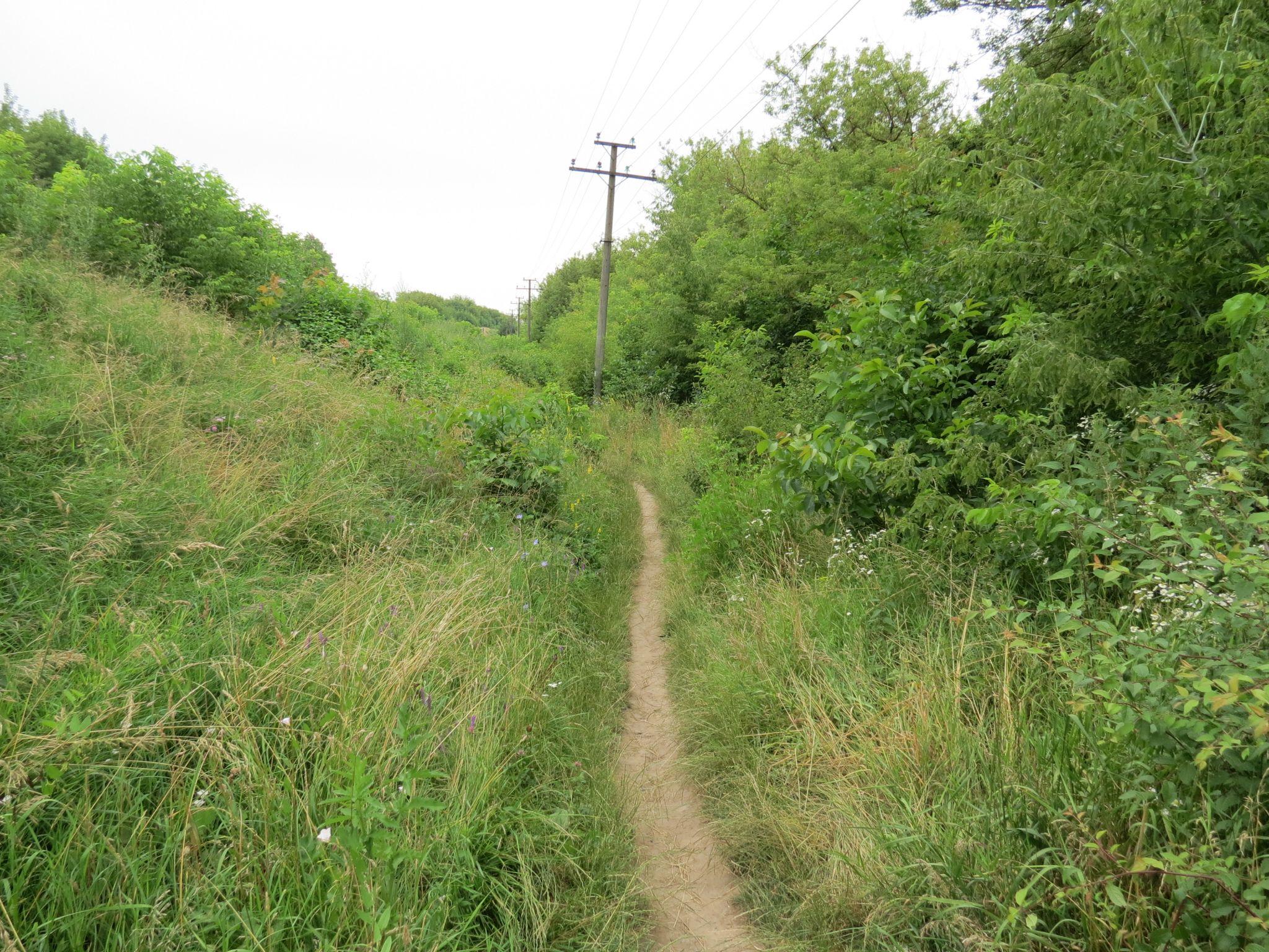 Новини Тернополя - фото з Чи комфортно та чисто? Ми перевірили стан тернопільських пляжів
