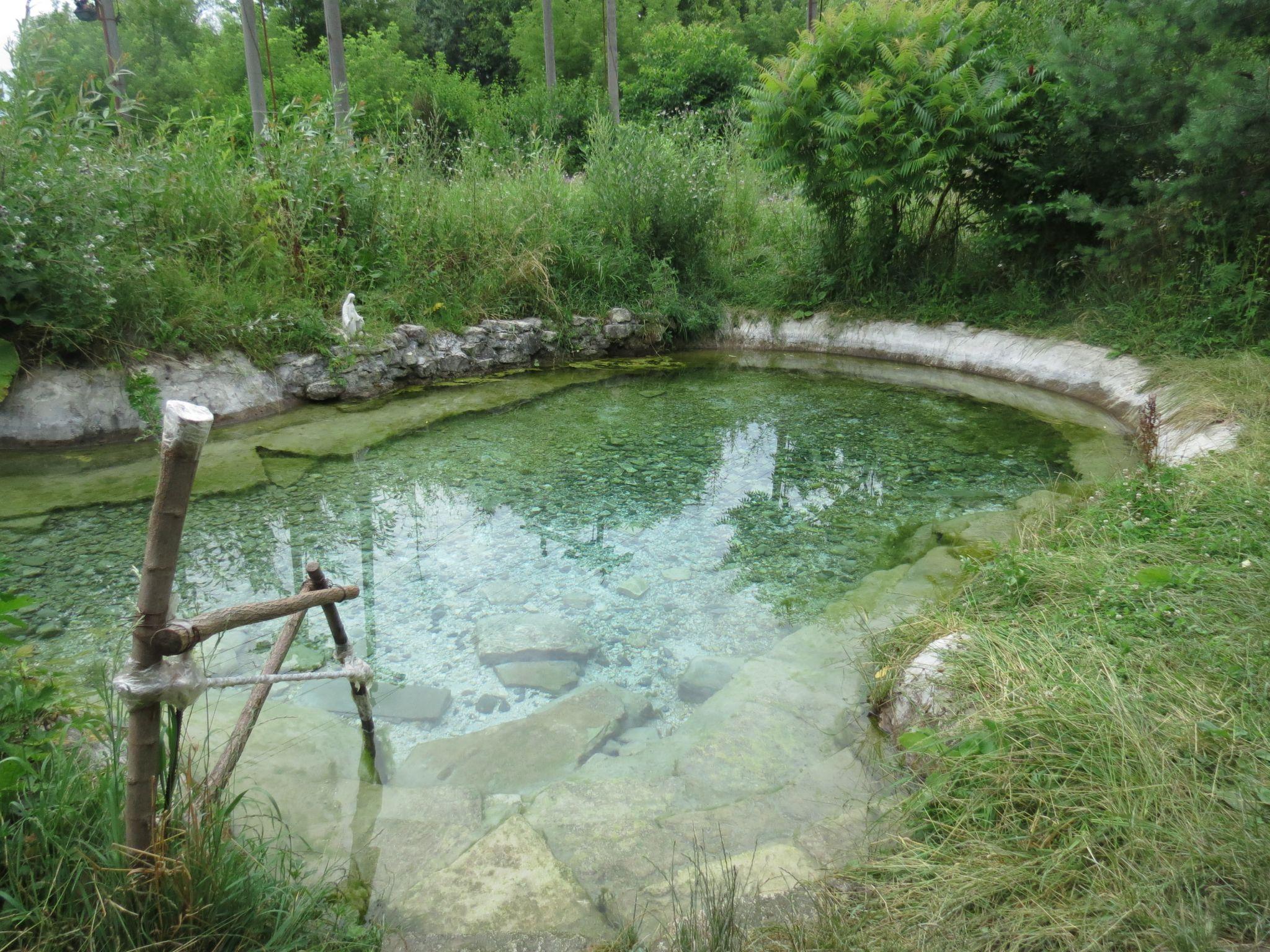 Новини Тернополя - фото з Чи комфортно та чисто? Ми перевірили стан тернопільських пляжів