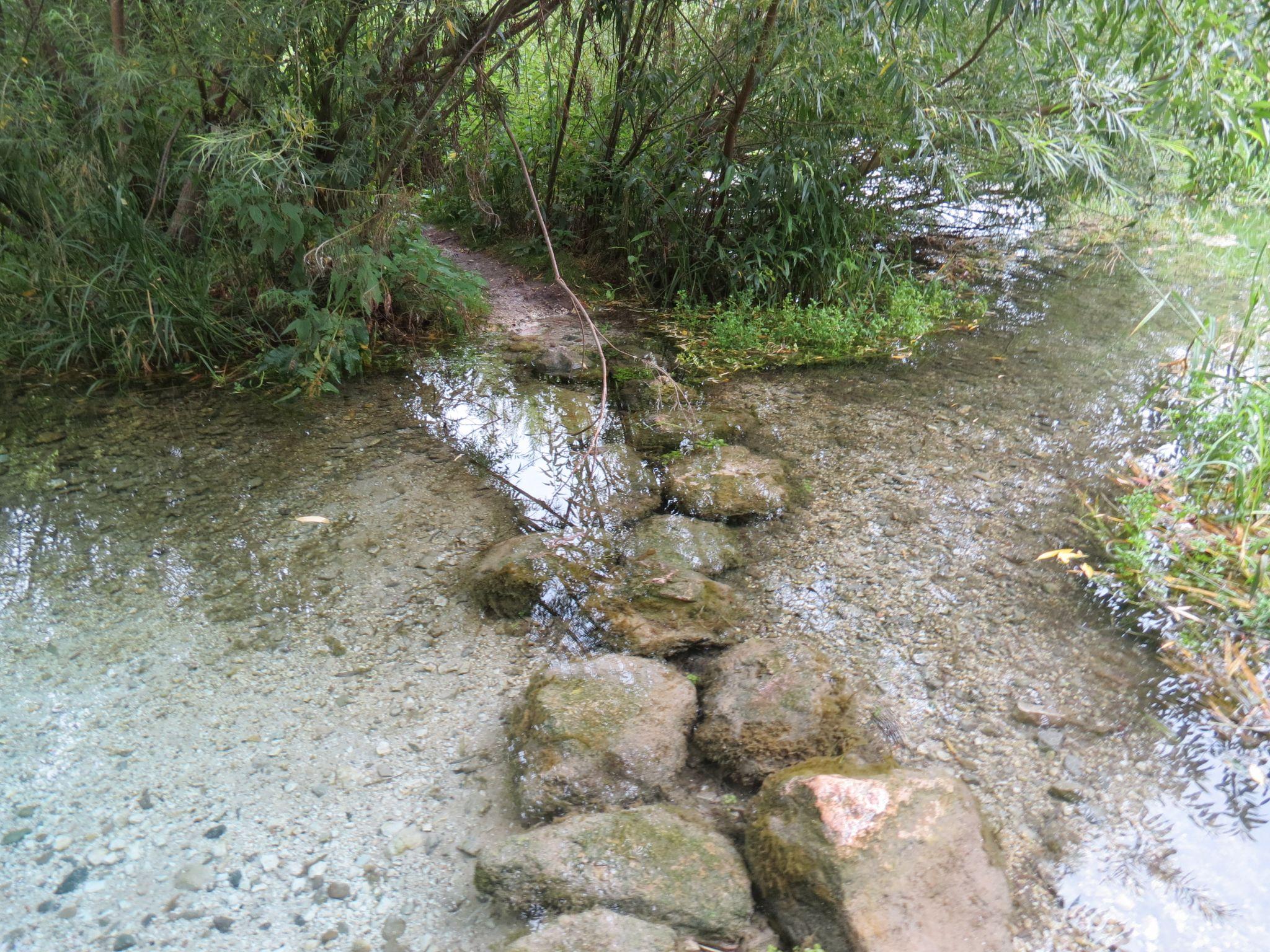 Новини Тернополя - фото з Чи комфортно та чисто? Ми перевірили стан тернопільських пляжів