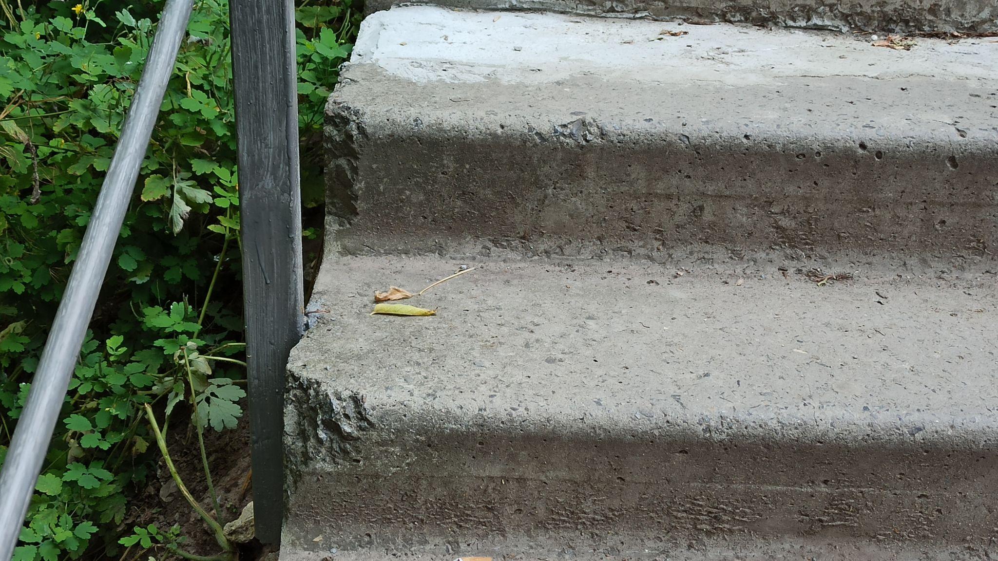 Новини Тернополя - фото з Оновили сходи неподалік «Циганки»: як виглядають зараз?