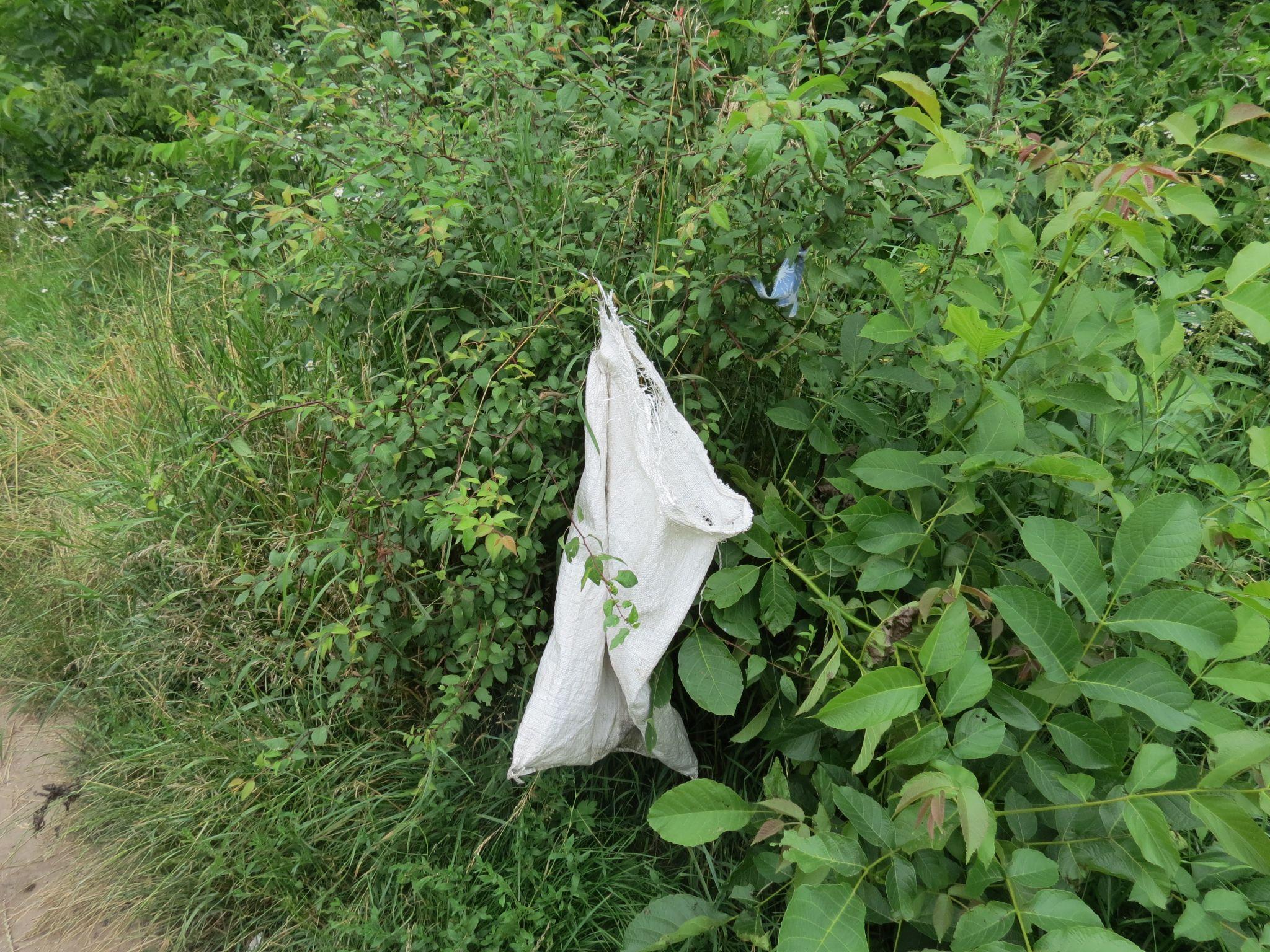 Новини Тернополя - фото з Чи комфортно та чисто? Ми перевірили стан тернопільських пляжів