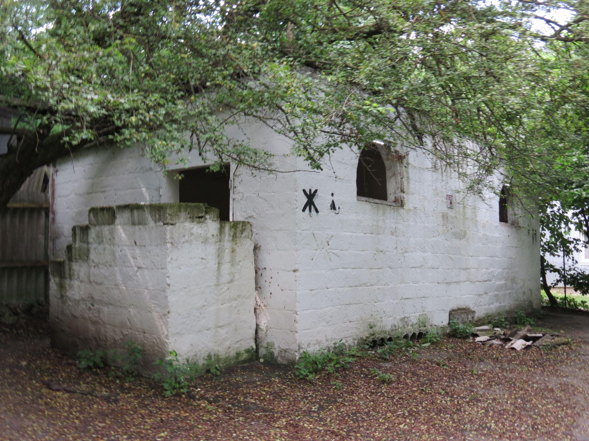 Новини Тернополя - фото з Чи комфортно та чисто? Ми перевірили стан тернопільських пляжів