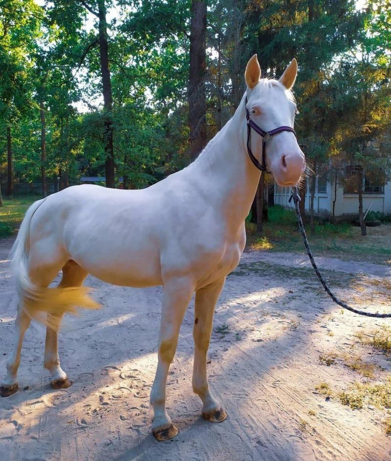 Новини Вінниці - фото з Афіша Вінниці. Де і як відпочити дітям і дорослим на вихідних 14 та 15 жовтня