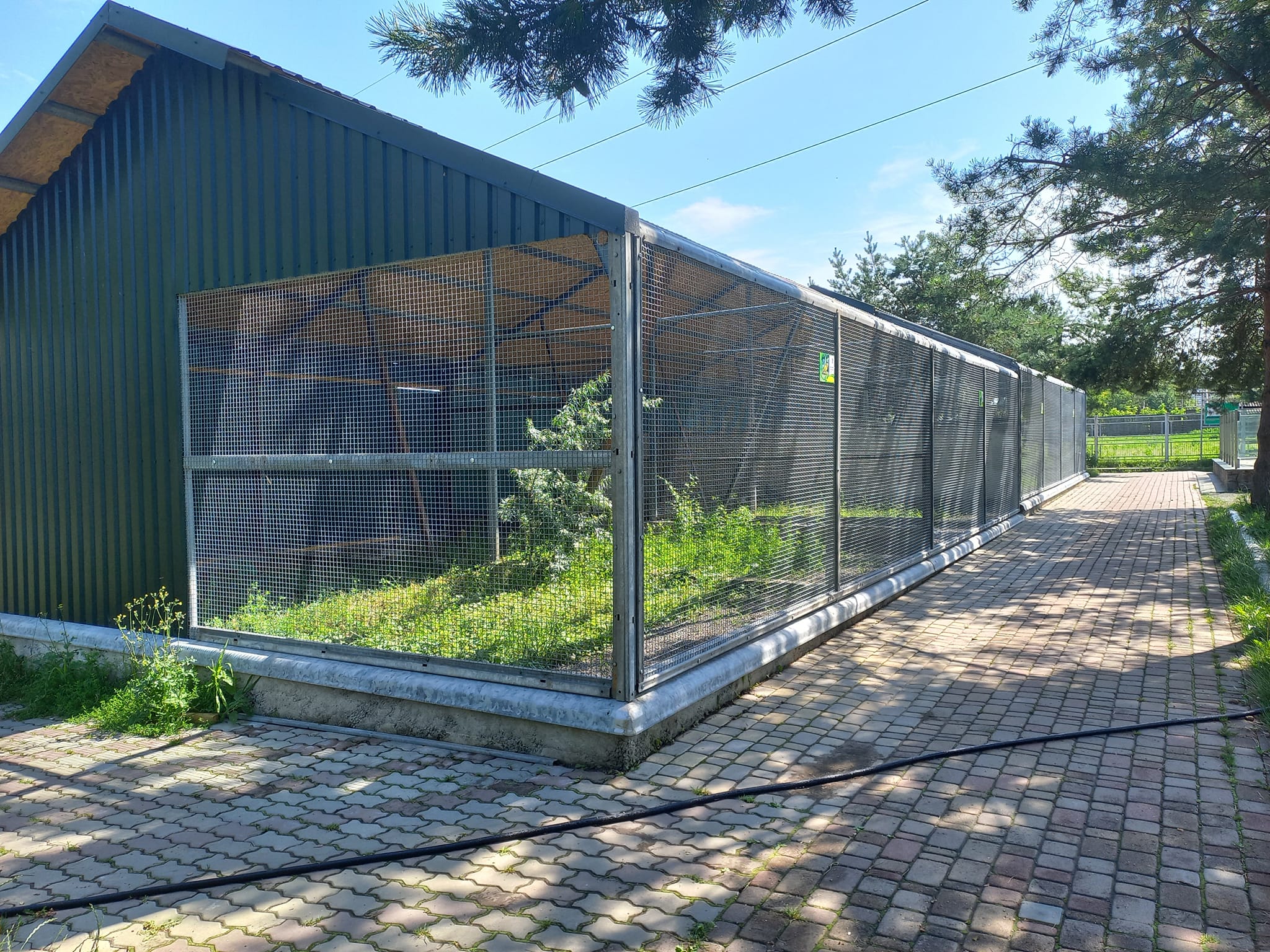 Новини Вінниці - фото з У Подільському зоопарку звели фазанарій. Які ще обновки планують у звіринцю?