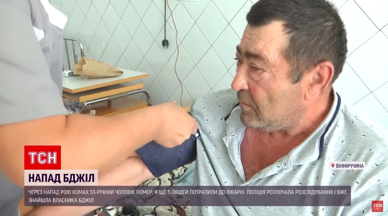 Новини Вінниці - фото з У Іллінцях бджоли закусали до смерті 55-річного чоловіка