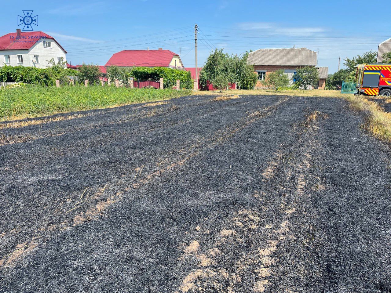 Новини Тернополя - фото з За спалювання сухої трави оштрафували ланівчанина