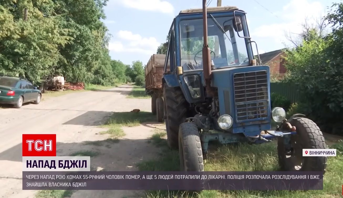 Новини Вінниці - фото з У Іллінцях бджоли закусали до смерті 55-річного чоловіка