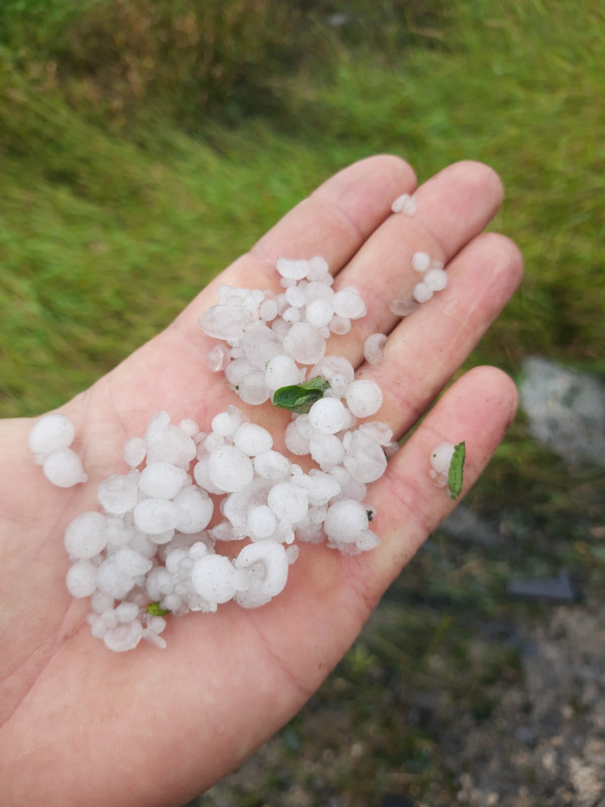 Новини Тернополя - фото з Негода на Тернопільщині: яких збитків наробили град і сильний вітер