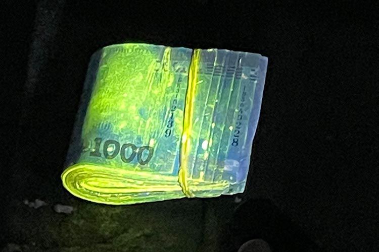 Новини Тернополя - фото з Тернополянка вимагала від абітурієнтів три тисячі доларів за навчання у виші