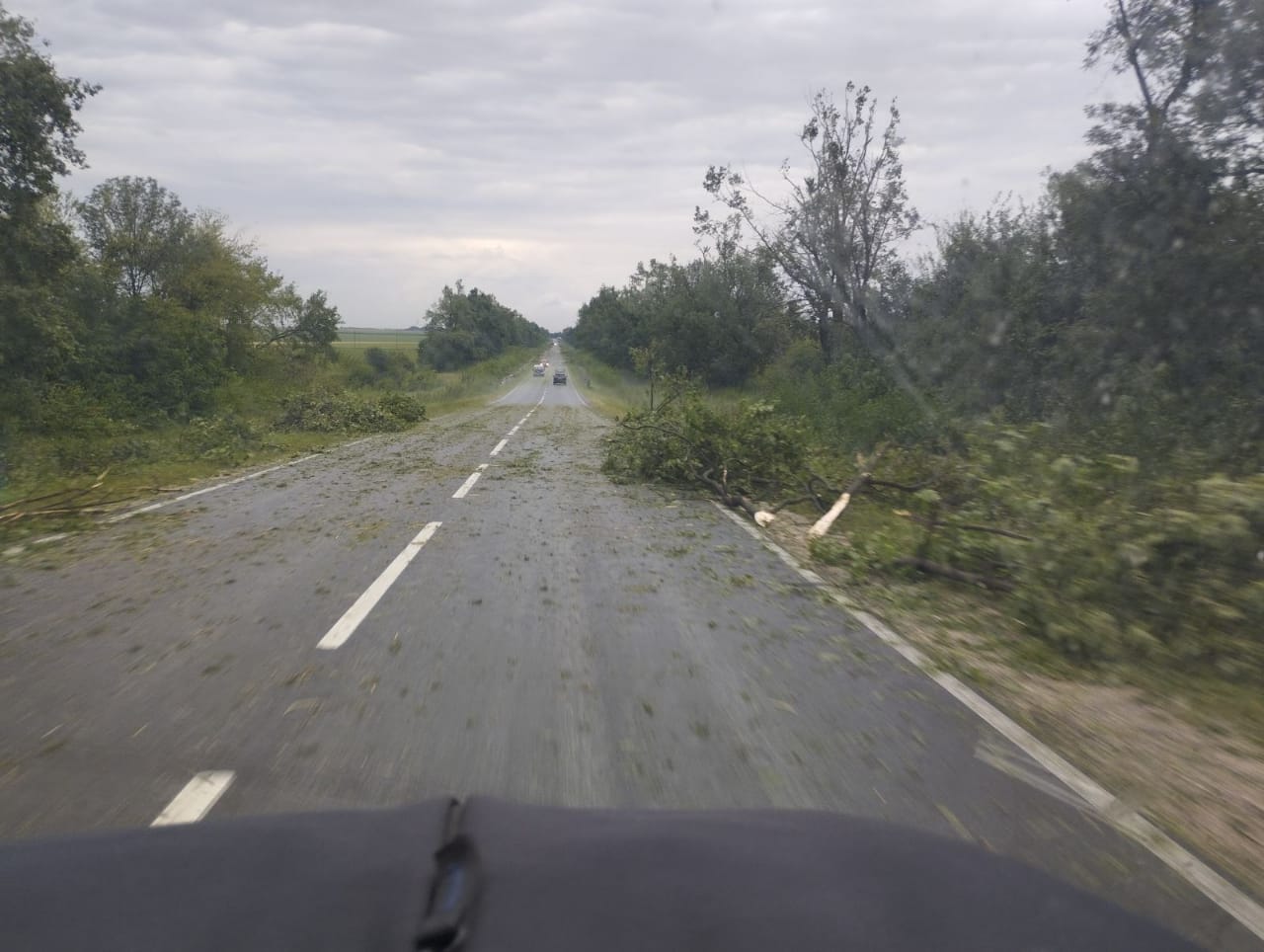Новини Тернополя - фото з Негода на Тернопільщині: яких збитків наробили град і сильний вітер