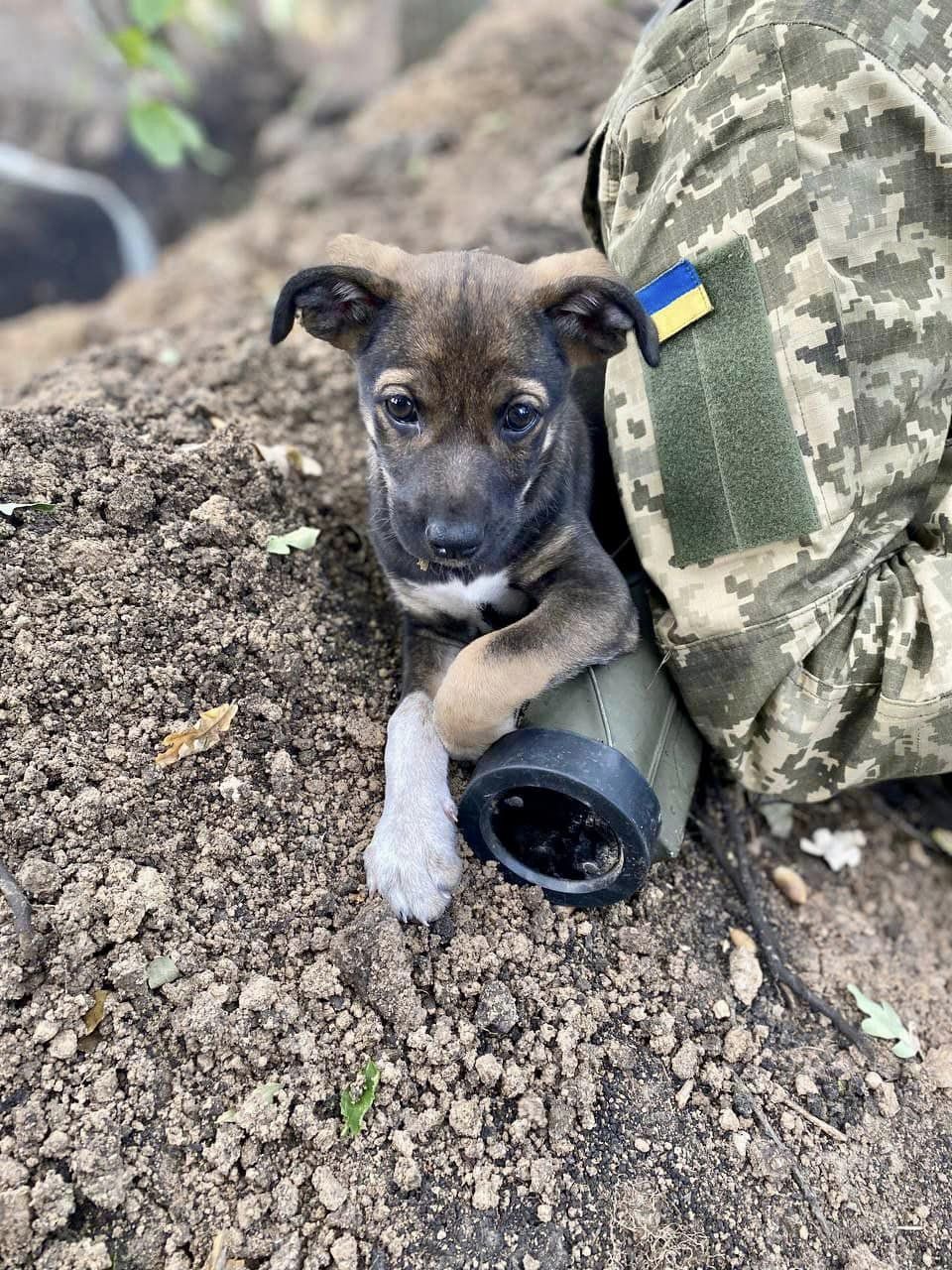 Новини Вінниці - фото з Постріл — найприємніша мить! Розповідає командир протитанкового взводу з позивним Відьмак