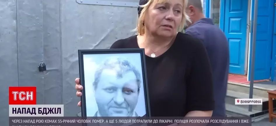 Новини Вінниці - фото з Чоловік помер від укусу бджіл. Як уникнути повторення трагедії, що сталася в Іллінцях?