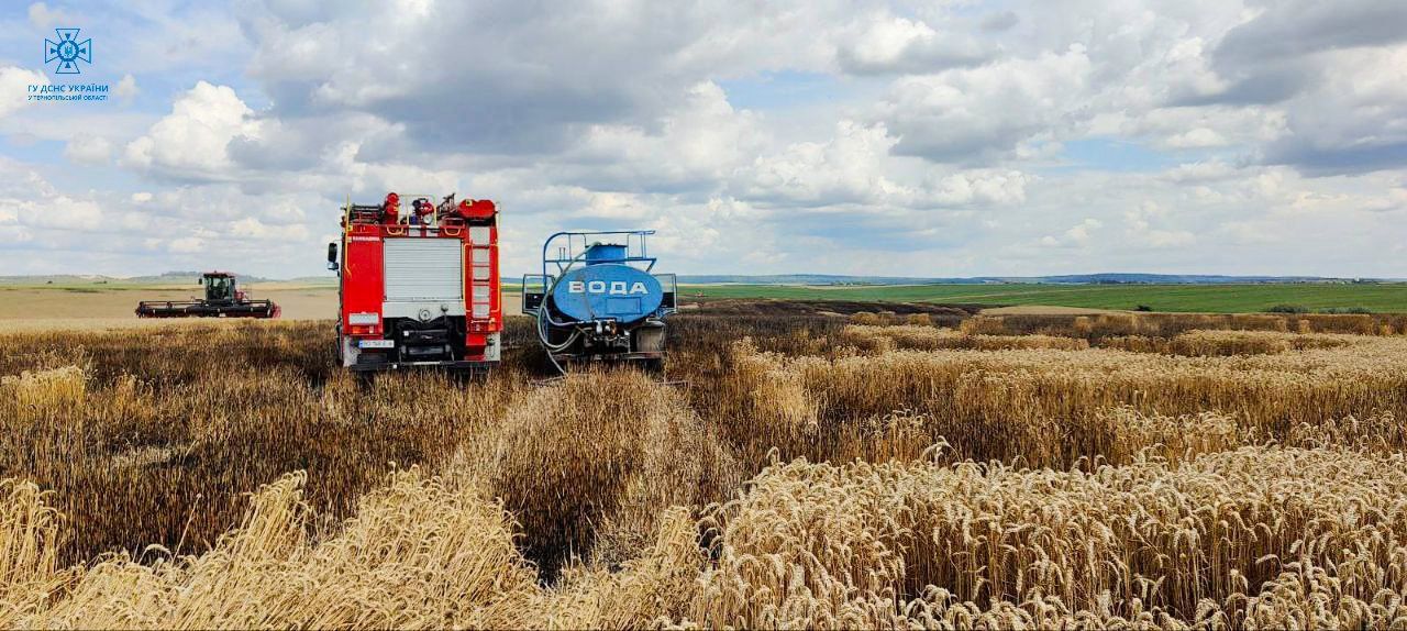 Новини Тернополя - фото з Поле з пшеницею горіло у селі в Тернопільському районі