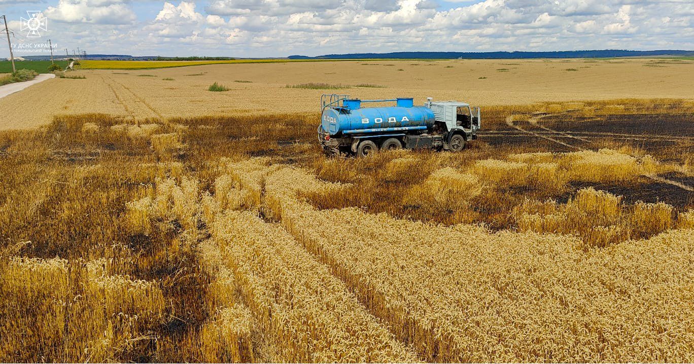 Новини Тернополя - фото з Поле з пшеницею горіло у селі в Тернопільському районі