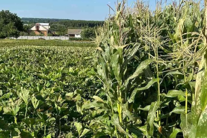 Новини Вінниці - фото з ТОП важливих новин на «20 хвилин» від 24 по 30 липня, які ви могли пропустити