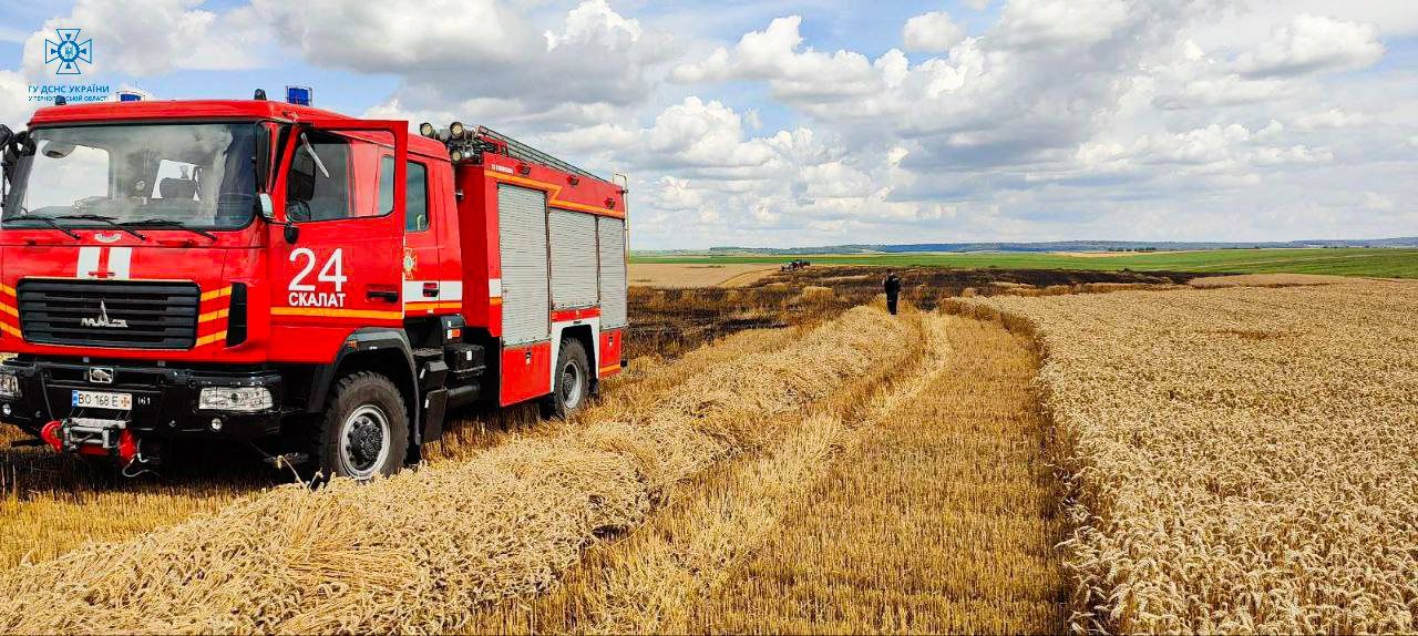 Новини Тернополя - фото з Поле з пшеницею горіло у селі в Тернопільському районі