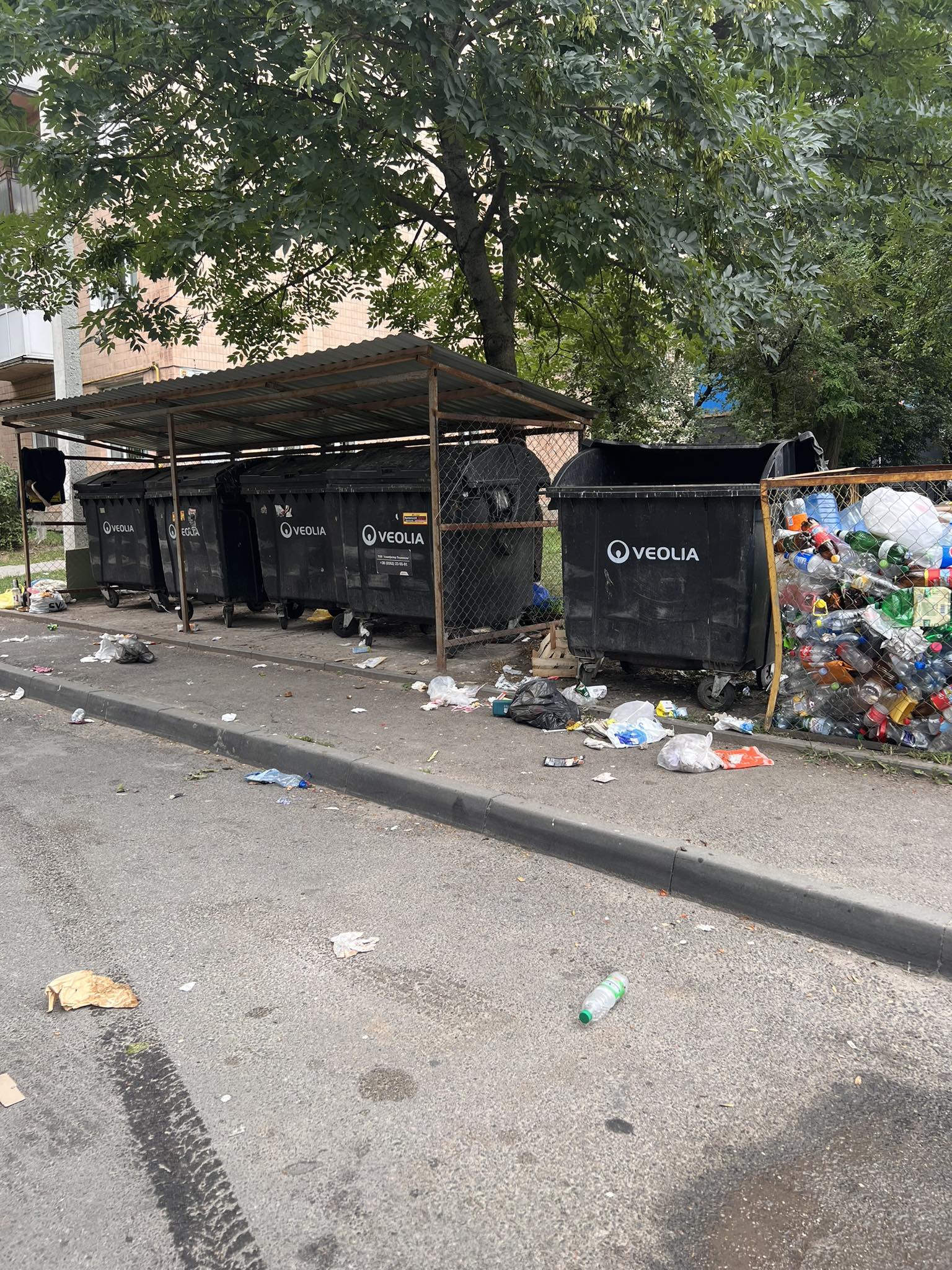Новини Тернополя - фото з По дорозі купа сміття і ріки смороду: хто прибиратиме на проспекті Злуки Немає опису.