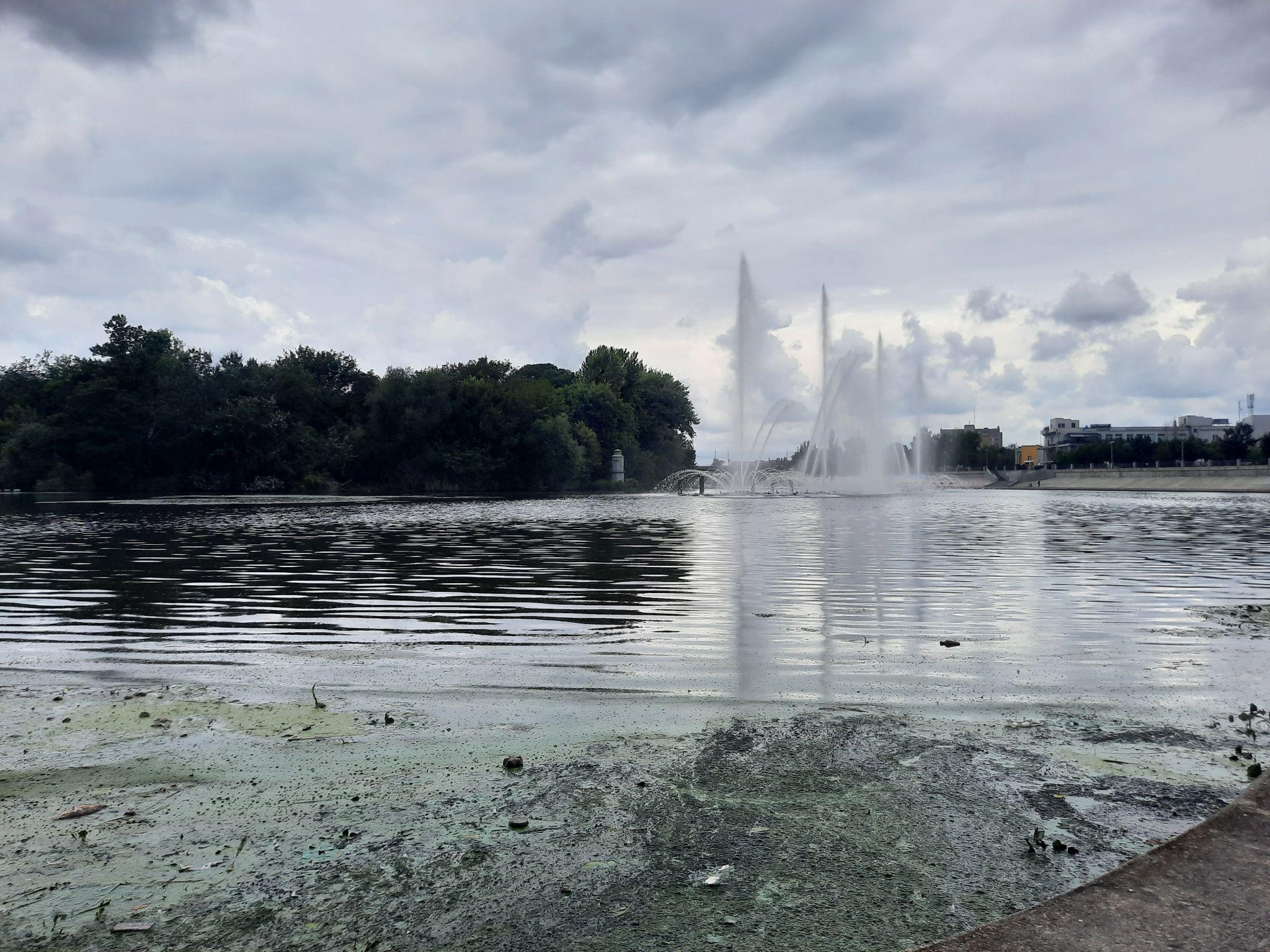 Новини Вінниці - фото з Сміття та цвітіння води навколо набережної «Рошен». Чому ніхто не розв'язує цю проблему
