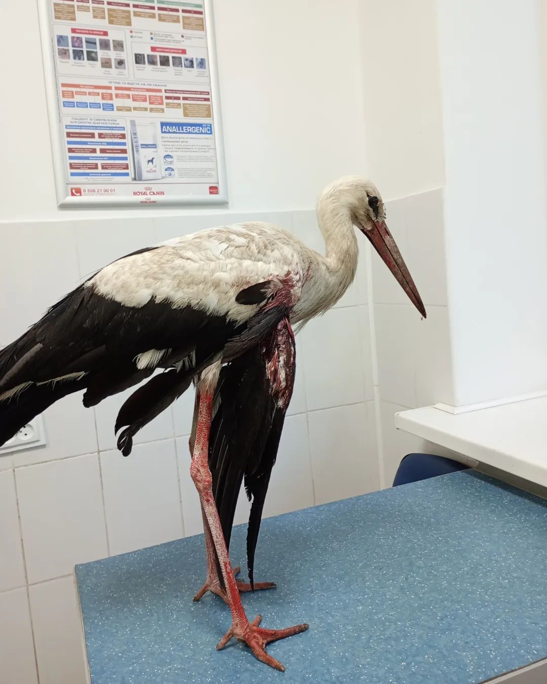 Нет описания фото.