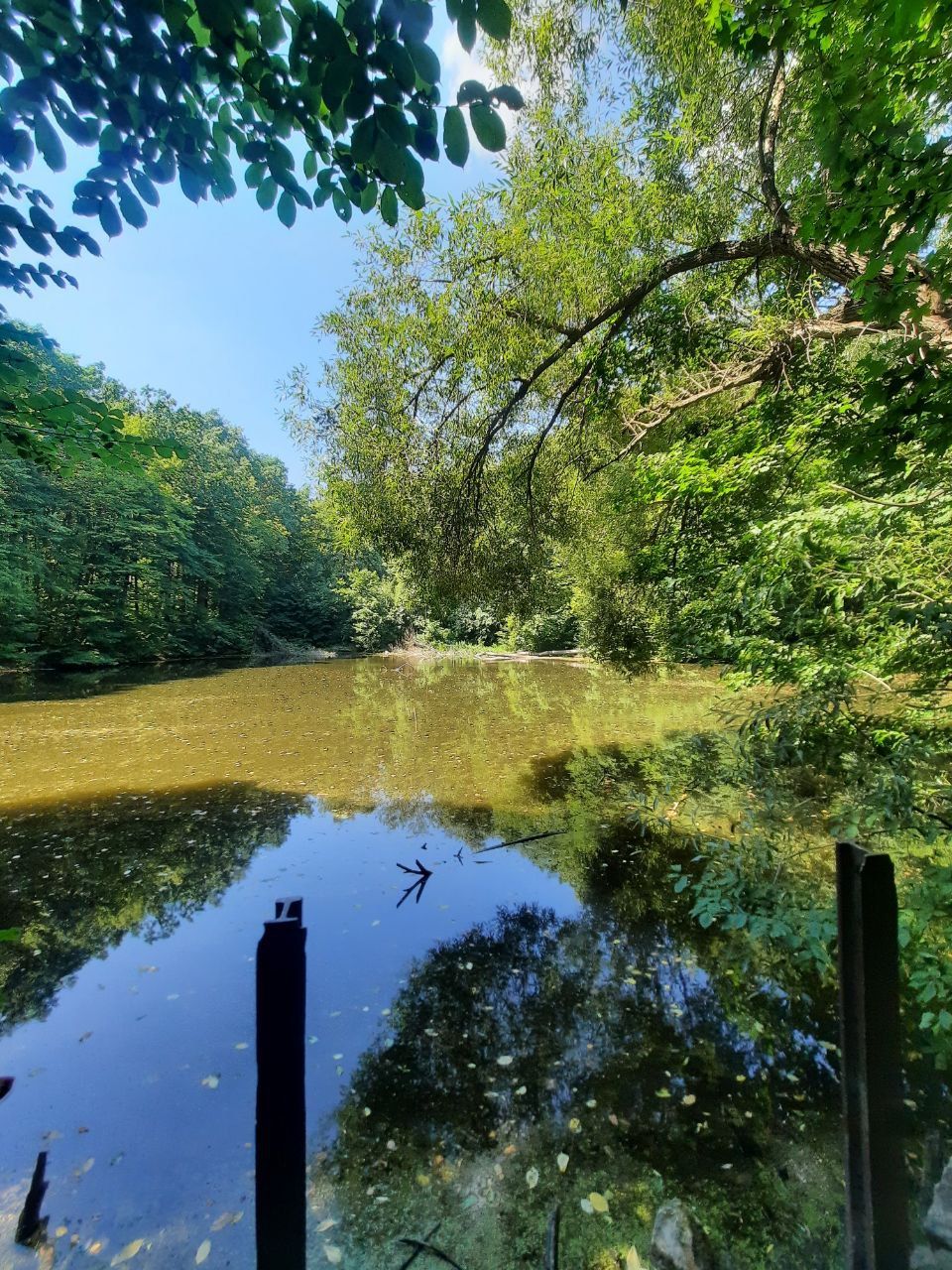 Новини Вінниці - фото з Лікуюче джерело всього за 18 кілометрів від Вінниці: розповідаємо детальніше про нього