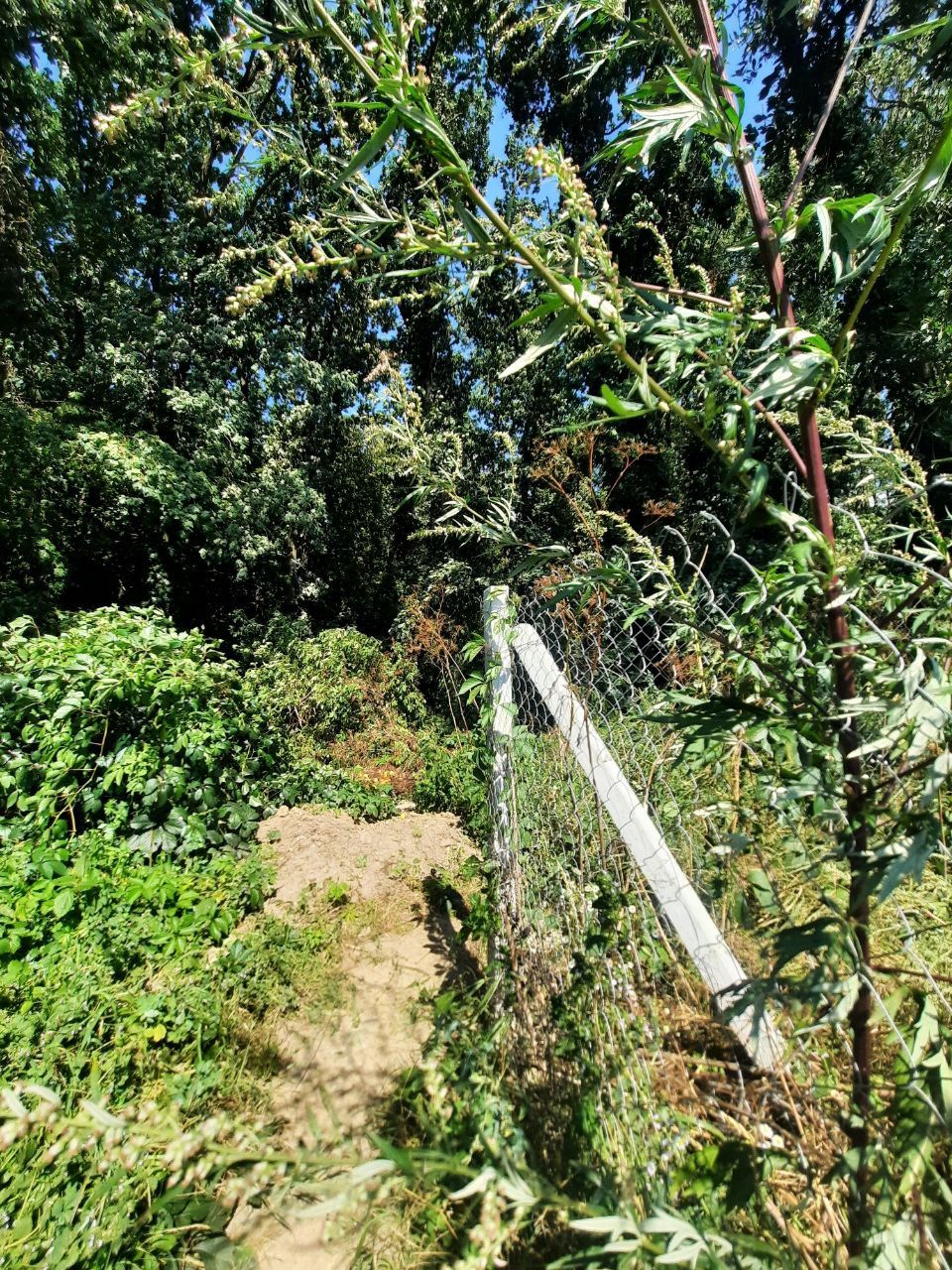 Новини Вінниці - фото з Лікуюче джерело всього за 18 кілометрів від Вінниці: розповідаємо детальніше про нього