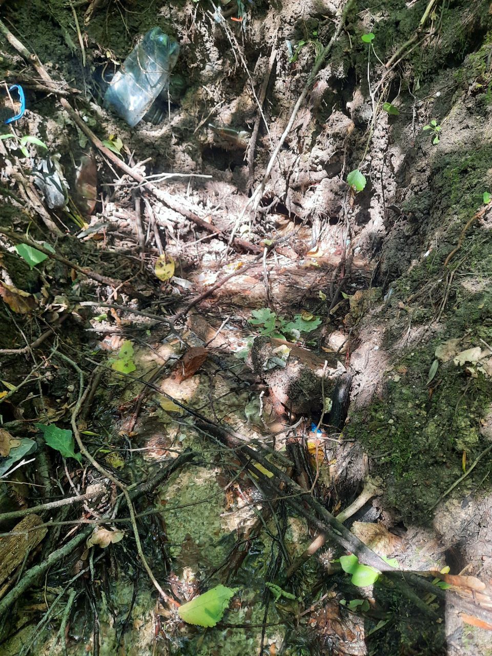 Новини Вінниці - фото з Лікуюче джерело всього за 18 кілометрів від Вінниці: розповідаємо детальніше про нього