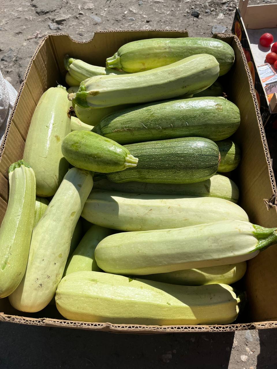 Новини Тернополя - фото з Скільки коштують продукти на стихійному ринку: ми дізналися ціни та чи продадуть дешевше