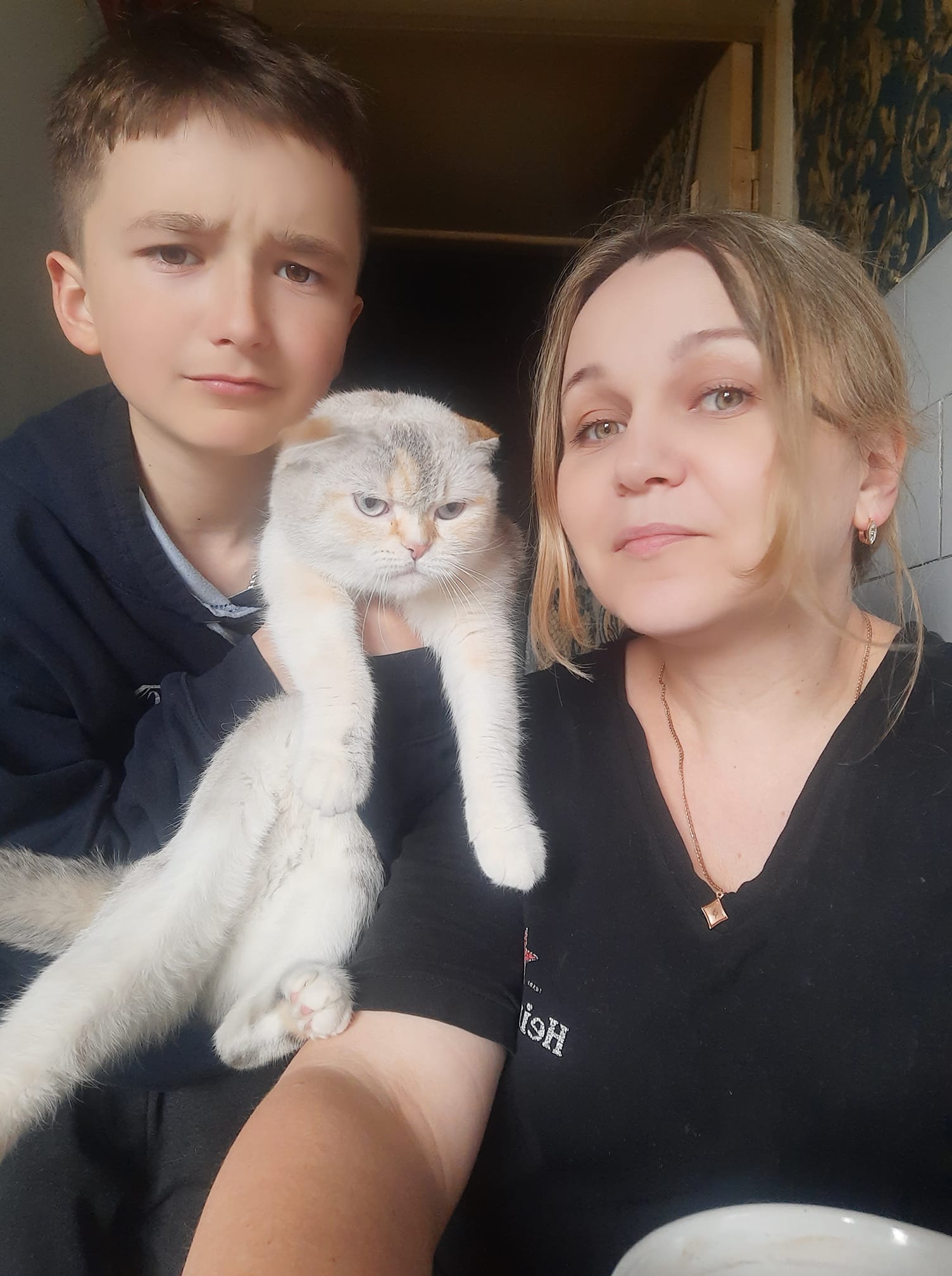 Новини Тернополя - фото з У Всесвітній день котів тернополяни поділились фото своїх улюбленців: гортайте добірку