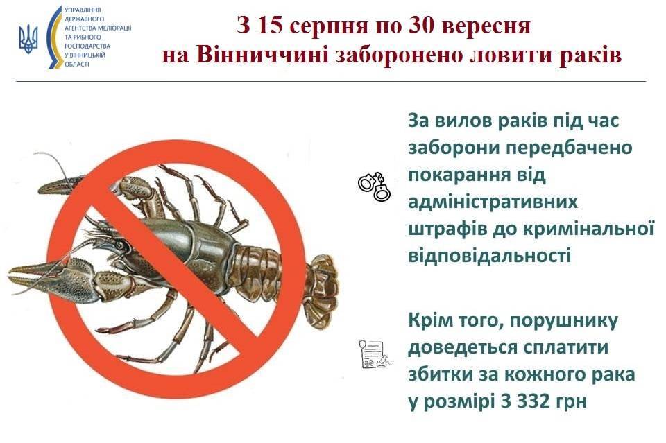 Новини Козятина - фото з З 15 серпня на Вінниччині заборонять ловити раків