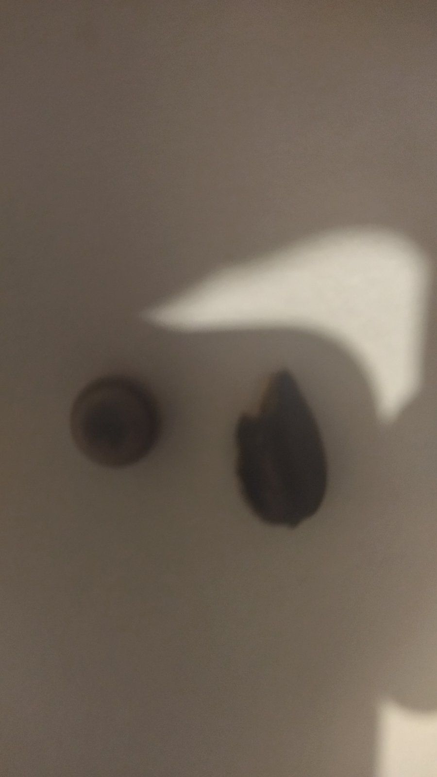 Новини Козятина - фото з «Якщо ви сліпий, то сидіть вдома, а не лікуйте дітей!»