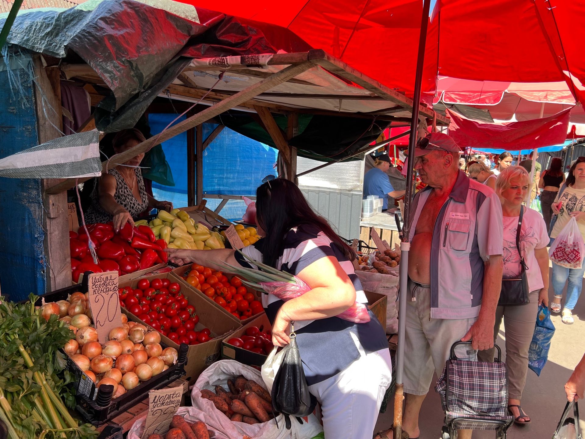 Новини Вінниці - фото з Літо у банці. Скільки коштуватимуть господиням цьогорічні закрутки?