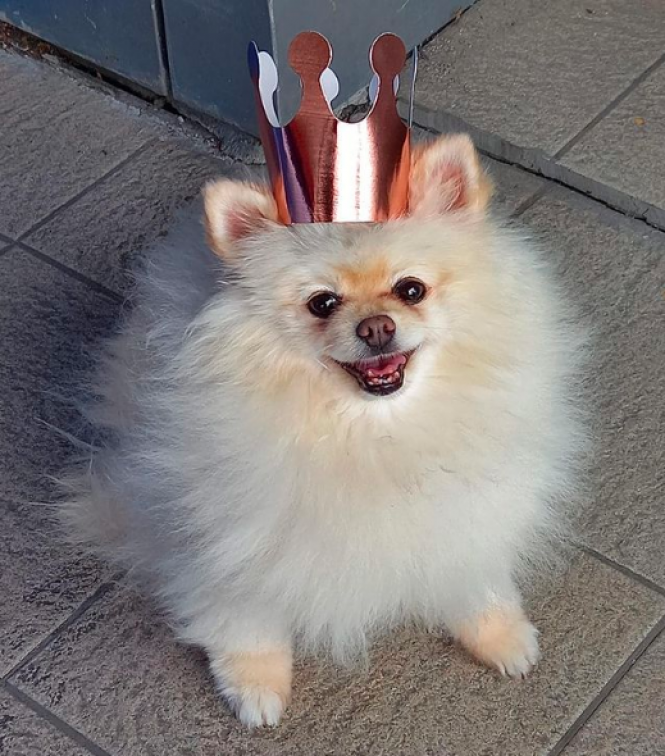 Новини Хмельницького - фото з Хмельницький в Instagram: підбірка фото за останній тиждень