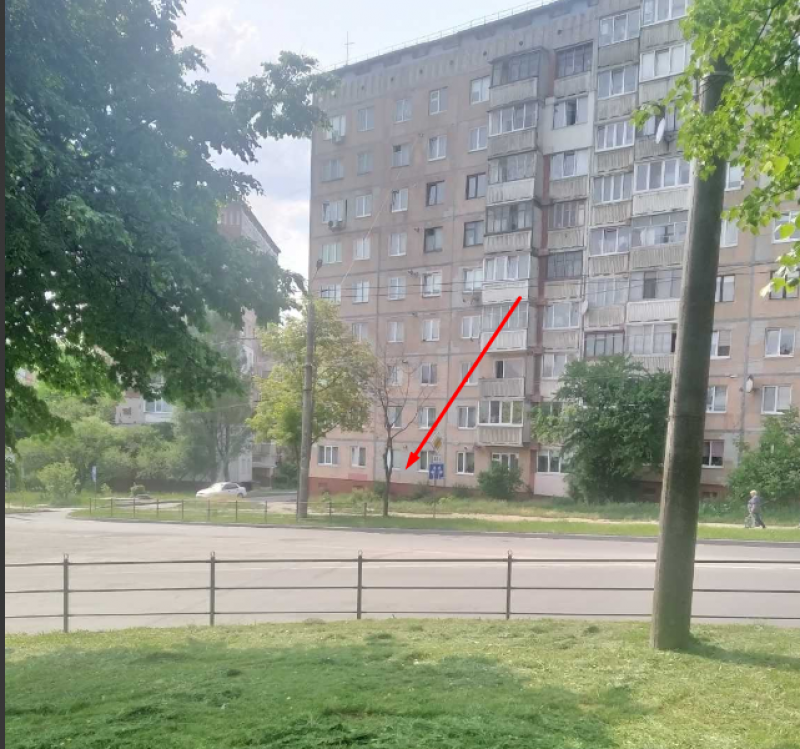 Новини Тернополя - фото з Які дерева зрізали на вул. Тарнавського — що кажуть у міській раді