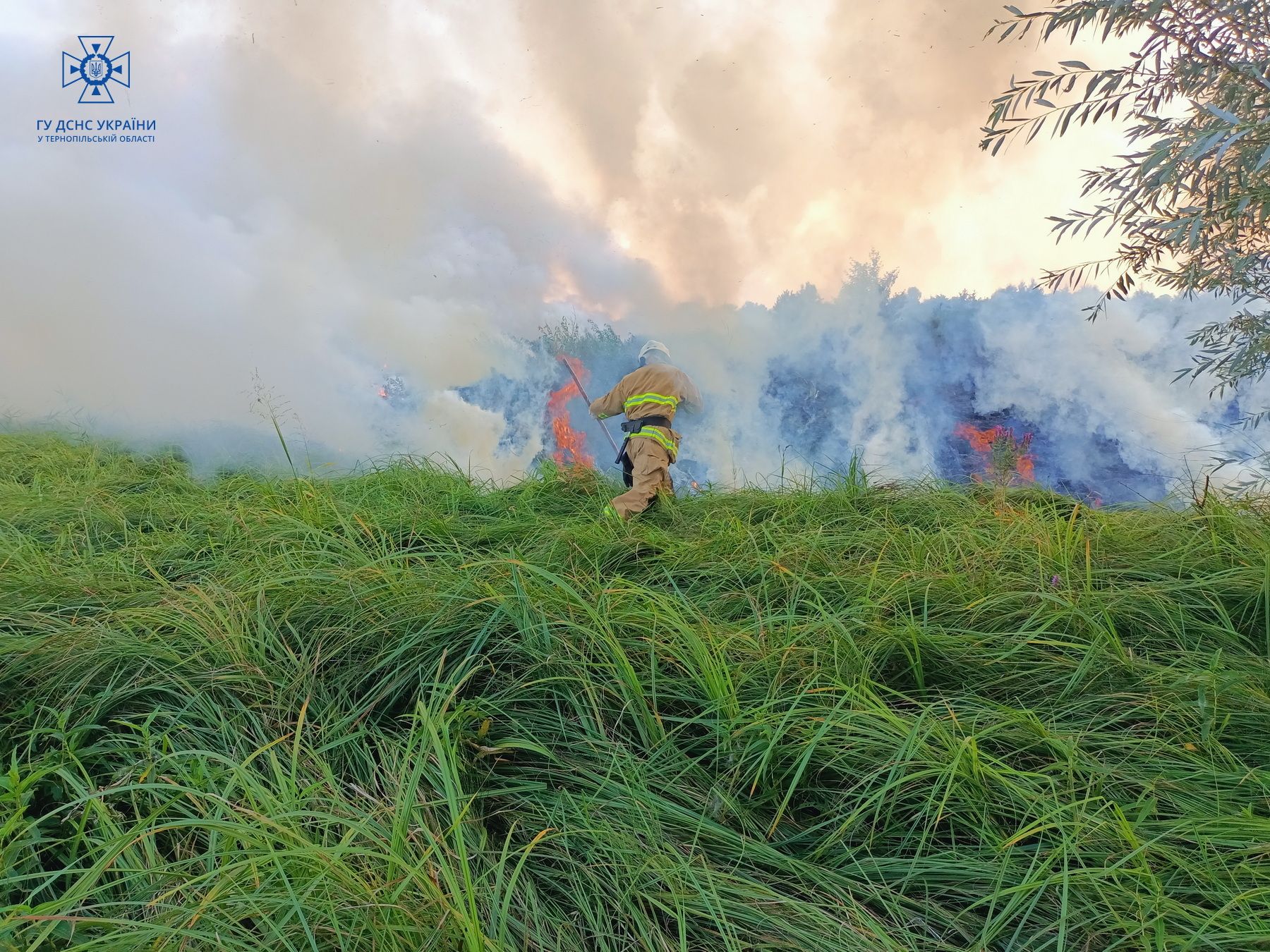 Новини Тернополя - фото з П’ять пожеж трапились на Тернопільщині за минулі вихідні