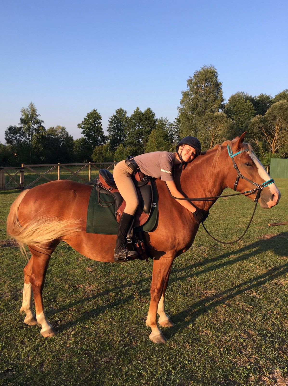 Новини Вінниці - фото з «Моя Батіста — конячка на мільйон!» Як дівчина з Канади врятувала від війни лошицю