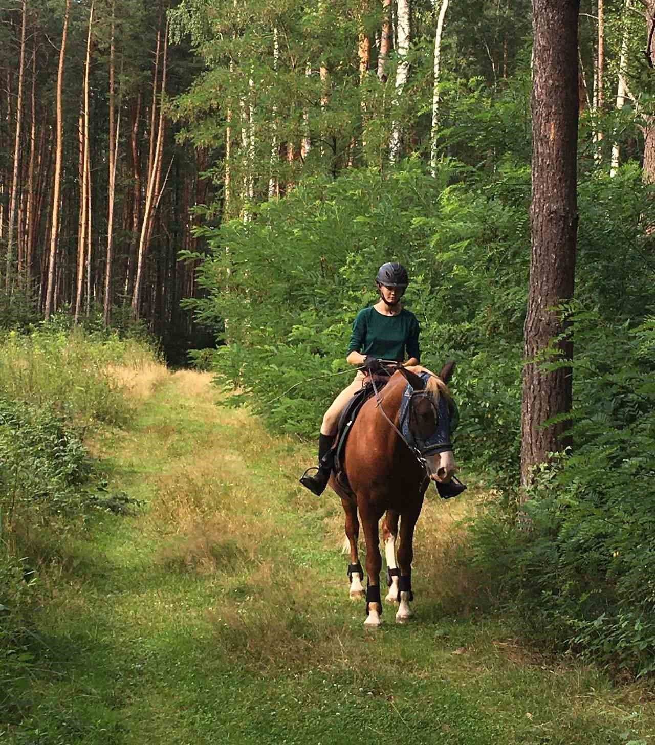 Новини Вінниці - фото з «Моя Батіста — конячка на мільйон!» Як дівчина з Канади врятувала від війни лошицю