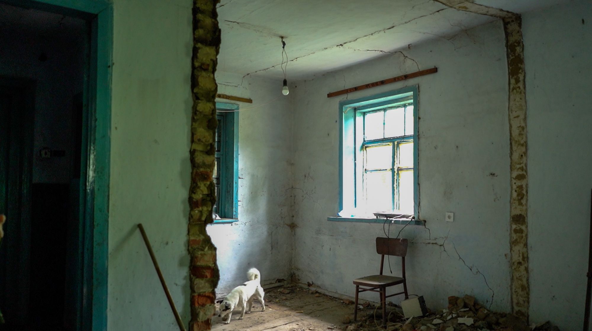 Новини Хмельницького - фото з «Ми перестали доїти своїх корів». На Хмельниччині розвивають незвичайну ферму та мріють відродити покинуте село