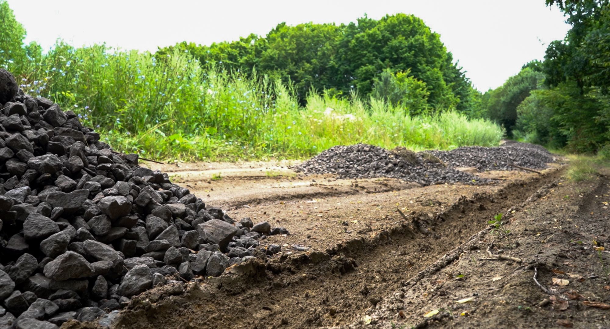 Новини Хмельницького - фото з «Ми перестали доїти своїх корів». На Хмельниччині розвивають незвичайну ферму та мріють відродити покинуте село