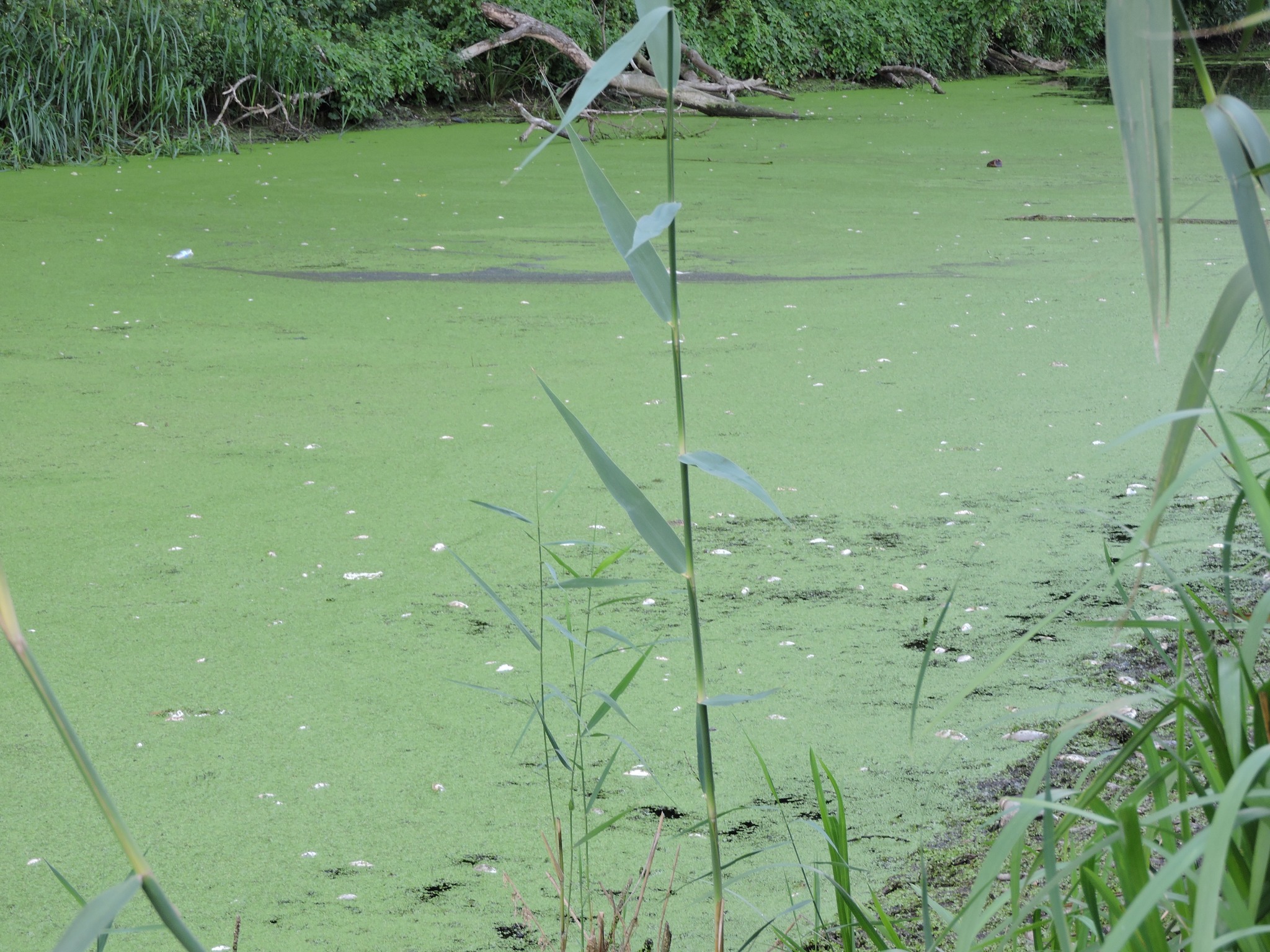 Немає опису світлини.
