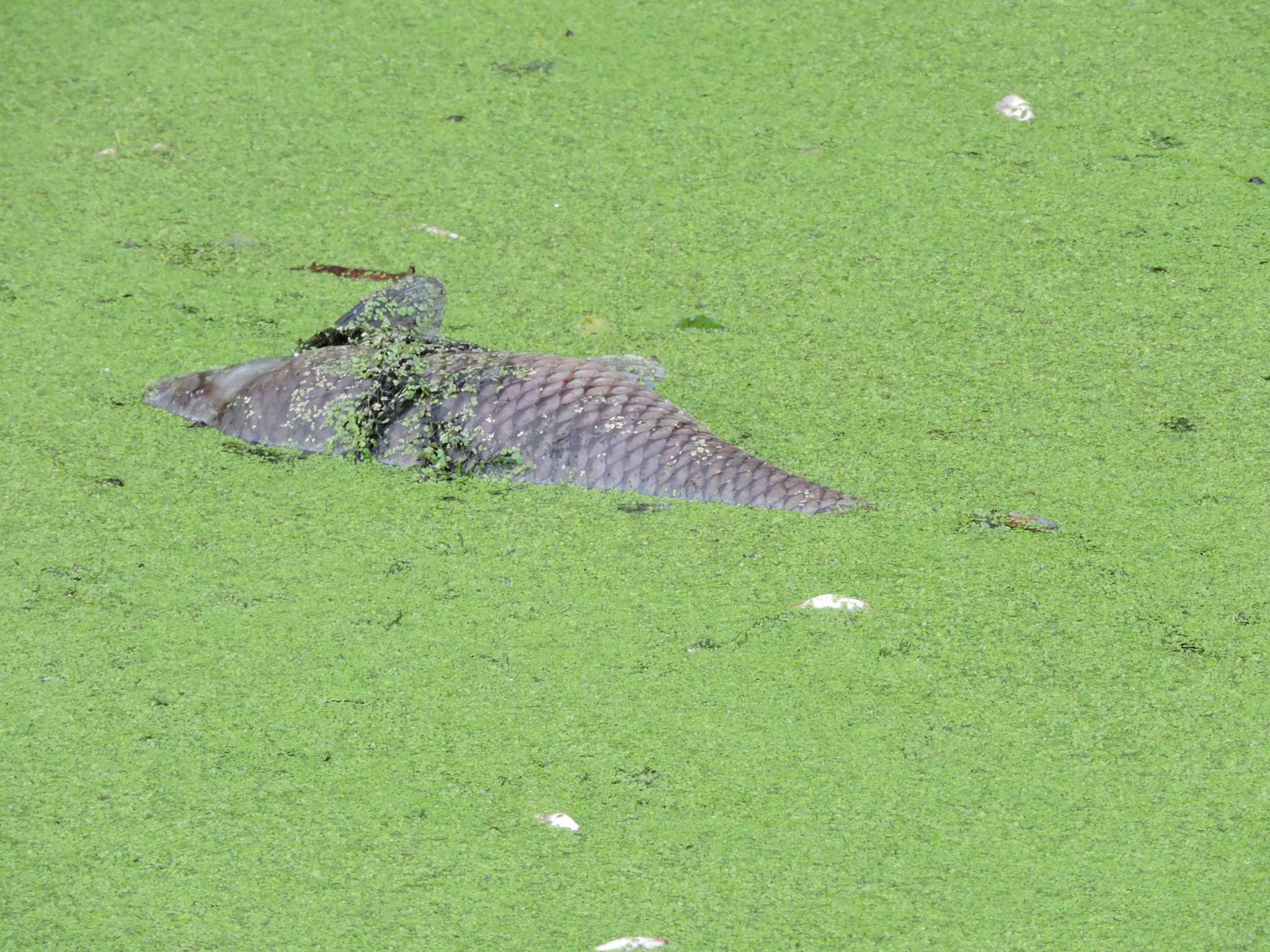 Немає опису світлини.