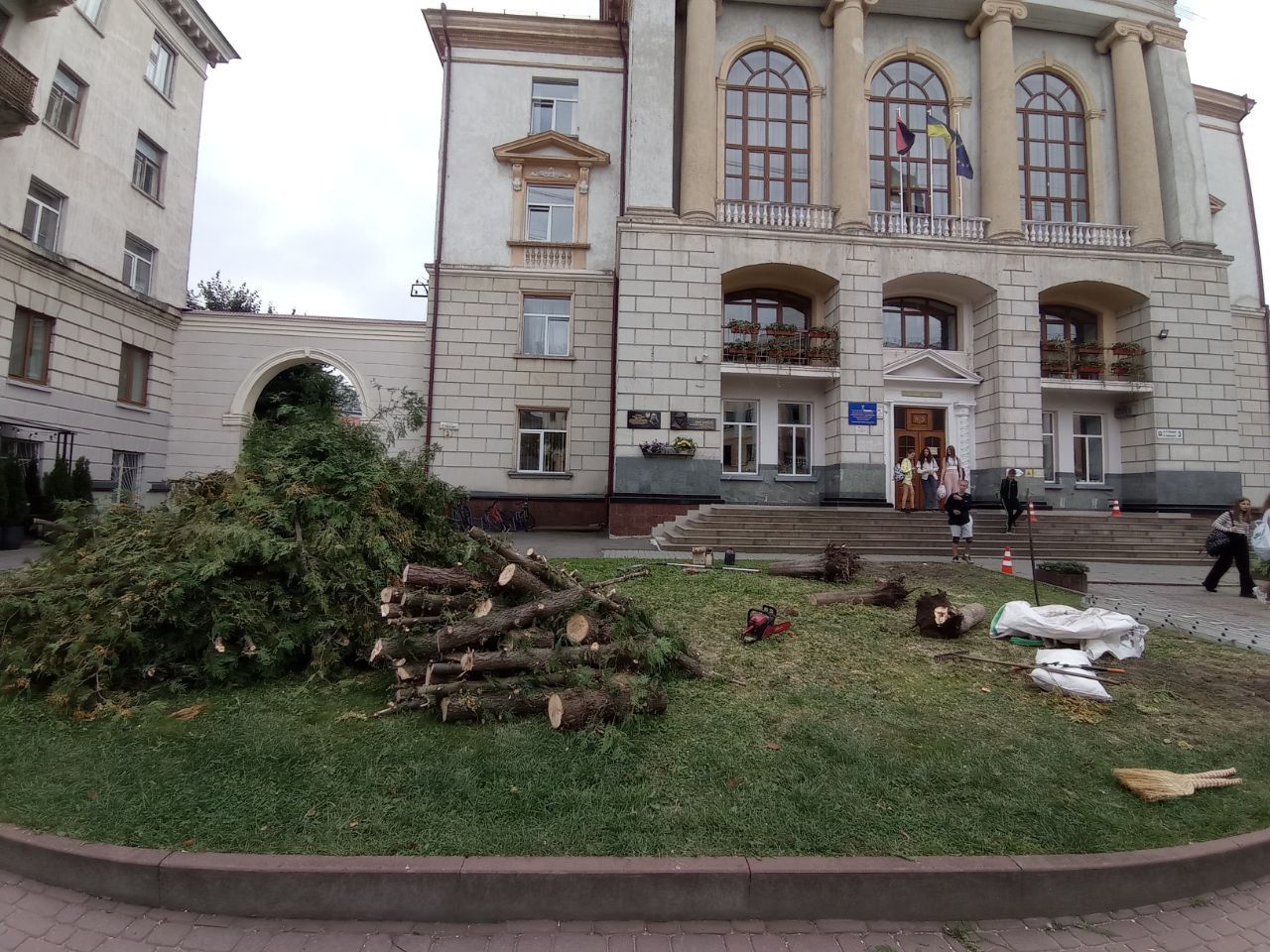 Новини Тернополя - фото з Біля школи №3 на місці зрізаних дерев розцвіли гортензії: який вигляд мають