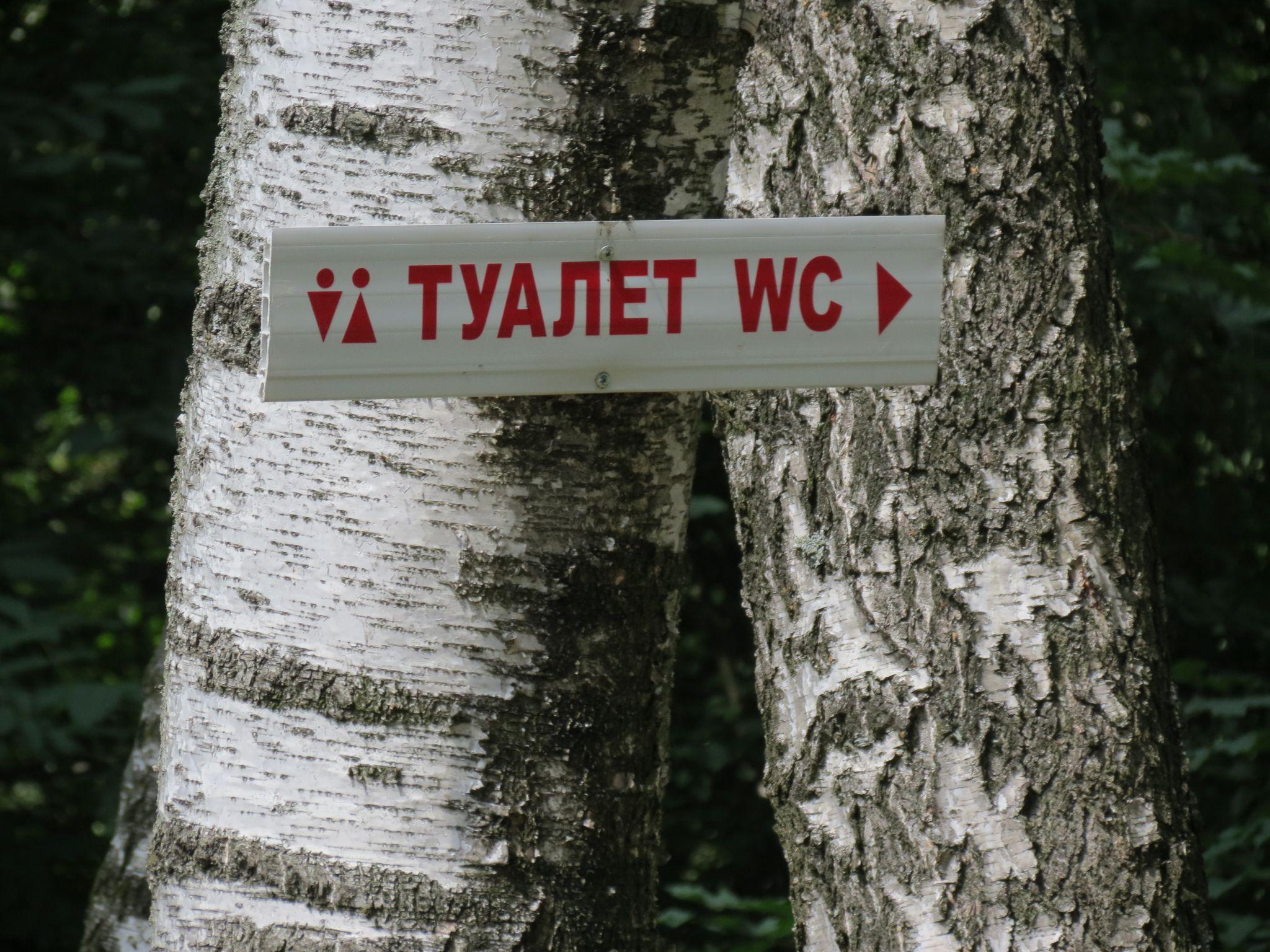Новини Тернополя - фото з В туалеті – як на вітрині! Коли у кабінках вбиралень у парку Нацвідродження поставлять двері: ми дізналися