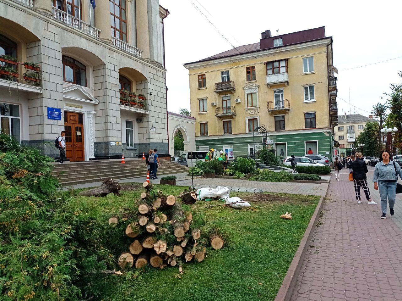 Новини Тернополя - фото з Біля школи №3 зрізали дерева: що там планують робити та чи відновлять насадження
