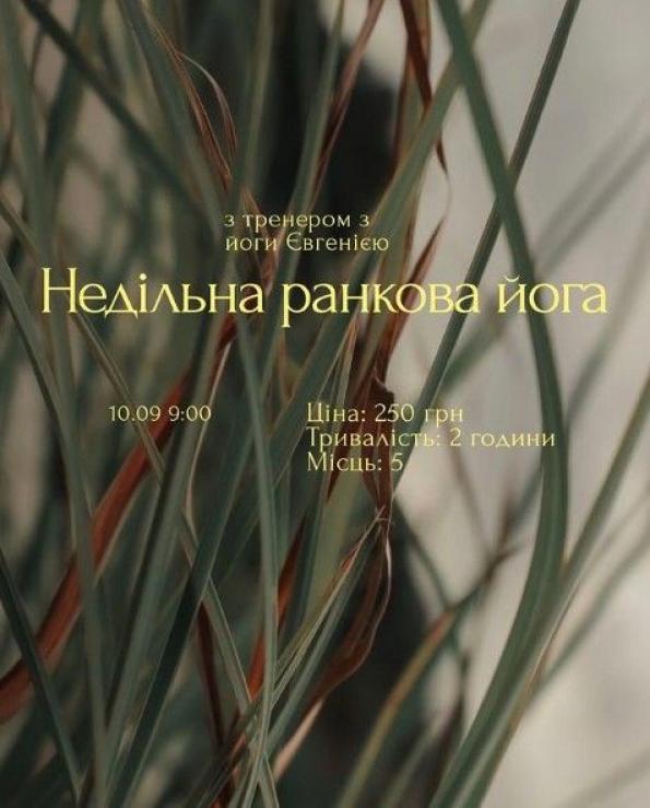 Новини Тернополя - фото з Виставка наметів, чайні церемонії і «День творчої дитини»: куди піти у Тернополі 9-10 вересня?
