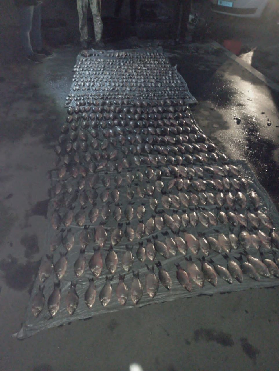 Немає опису світлини.