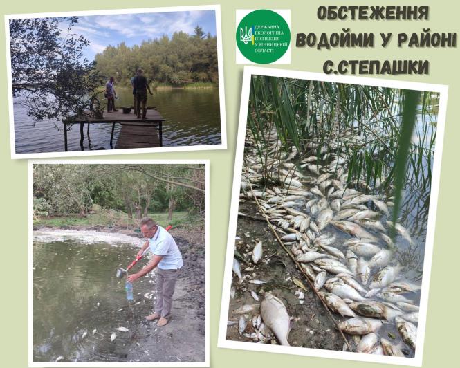 Новини Вінниці - фото з Мор риби в районі Степашок: екологи оглянули водойму та зробили перші дослідження