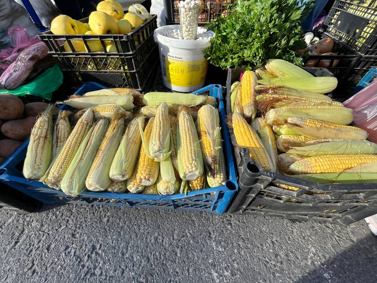 Новини Тернополя - фото з Яйця по 50 гривень, а рис майже 70: які ціни на сільськогосподарському ярмарку Тернополя