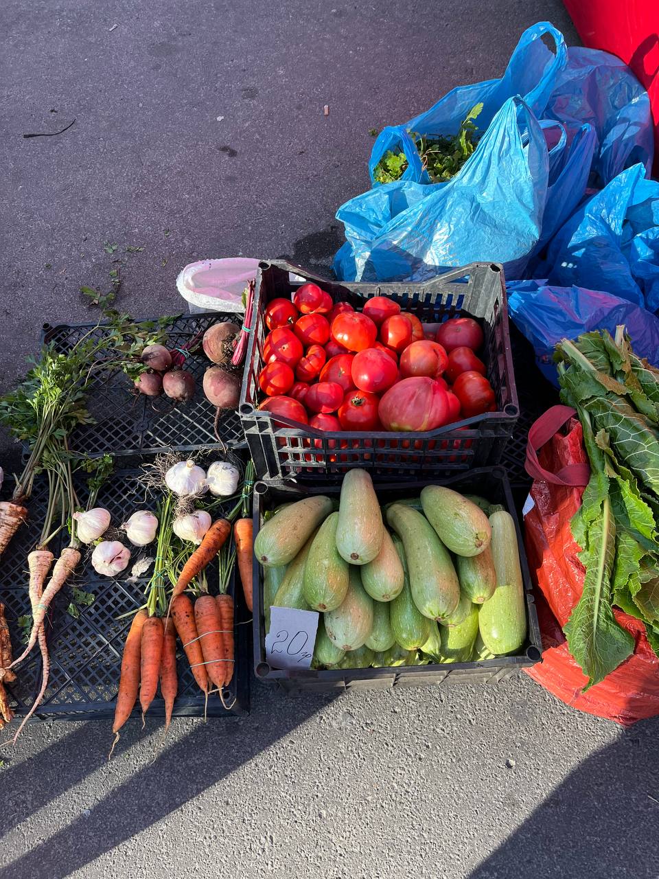 Новини Тернополя - фото з Яйця по 50 гривень, а рис майже 70: які ціни на сільськогосподарському ярмарку Тернополя