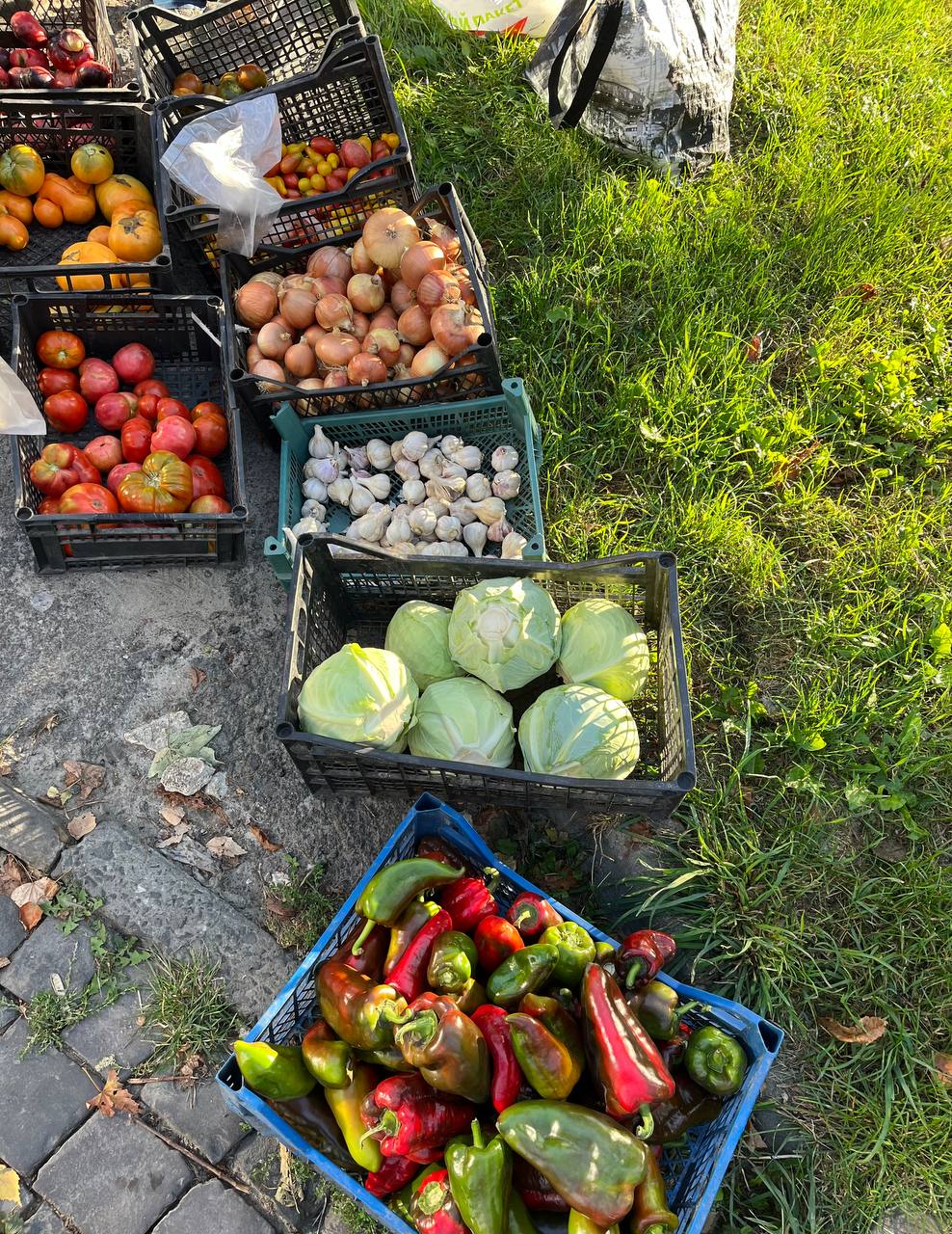 Новини Тернополя - фото з Яйця по 50 гривень, а рис майже 70: які ціни на сільськогосподарському ярмарку Тернополя