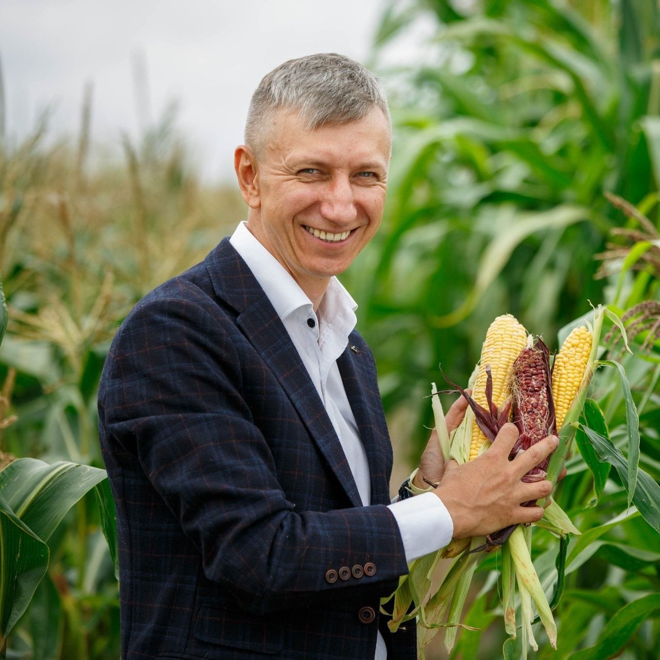 Новини Вінниці - фото з Солодка і патріотична: вінницька жовто-блакитна кукурудза з’явилась на полях України
